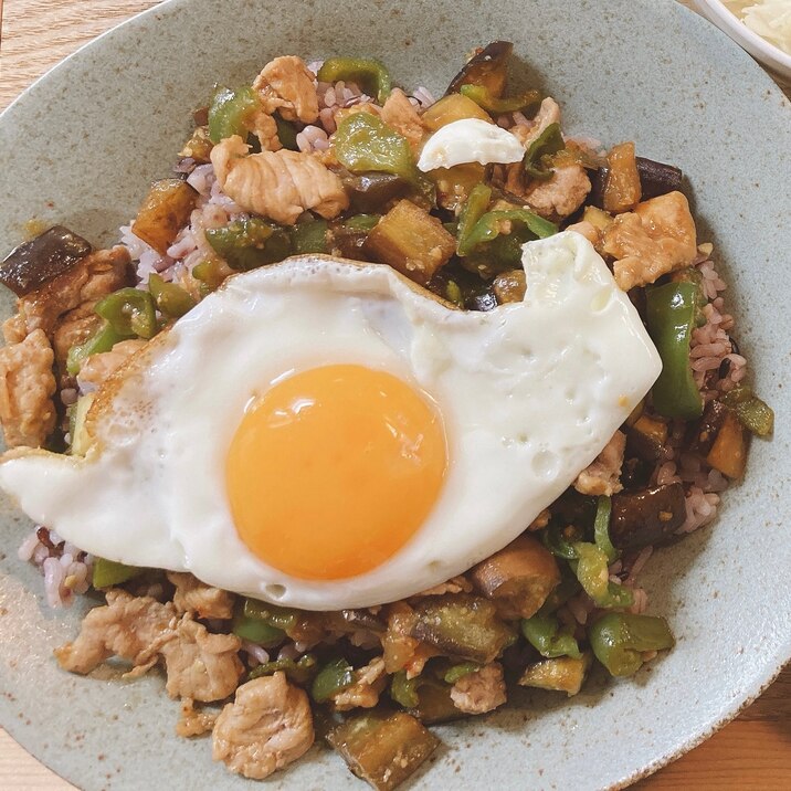 ピーマンとなすのスタミナ丼